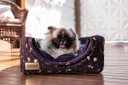 Ver imagem 5 de Cama Iglu e Toca para Cachorro Luppet Luxo Preto Cachorro M
