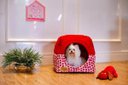 Ver imagem 6 de Cama Iglu e Toca para Cachorro Luppet Vermelho Joaninha M