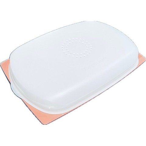Tupperware Queijeira Retangular Baixa