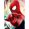 Quadro Decorativo Geek e Nerd Homem Aranha - PVC 1mm 30x45 - 2