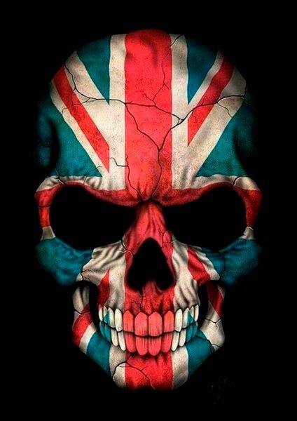 Quadro Decorativo Geek e Nerd Caveira Bandeira - PVC 1mm 30x45 - 2