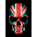 Ver imagem 2 de Quadro Decorativo Geek e Nerd Caveira Bandeira - PVC 1mm 30x45