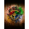 Quadro Decorativo Geek e Nerd Hogwarts - PVC 2mm 40x60 - 2