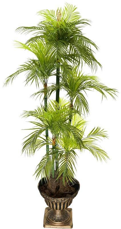 Coqueiro Palmeira Verde Grande 1.6m Toque Real Folhagem - 1