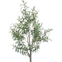 Ver imagem 5 de Oliveira Planta Artificial Árvore Decoração com 1.50cm