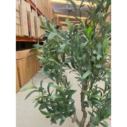 Oliveira Planta Artificial Árvore Decoração com 1.50cm - 8