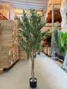 Ver imagem 2 de Oliveira Planta Artificial Árvore Decoração com 1.50cm