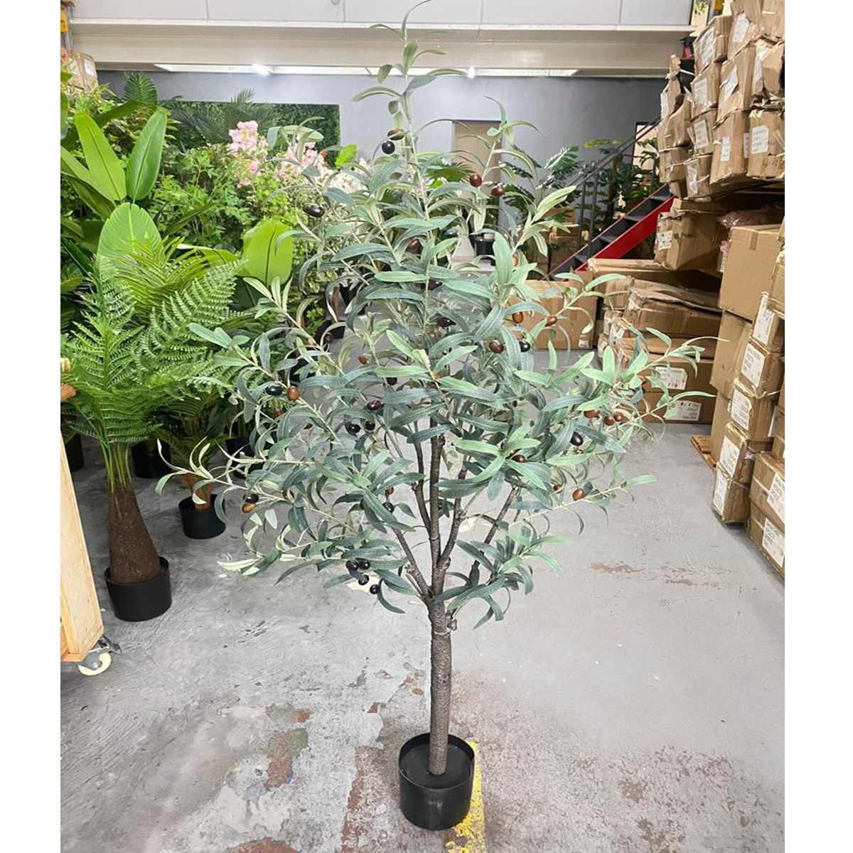 Oliveira Planta Artificial Árvore Decoração com 1.50cm - 5