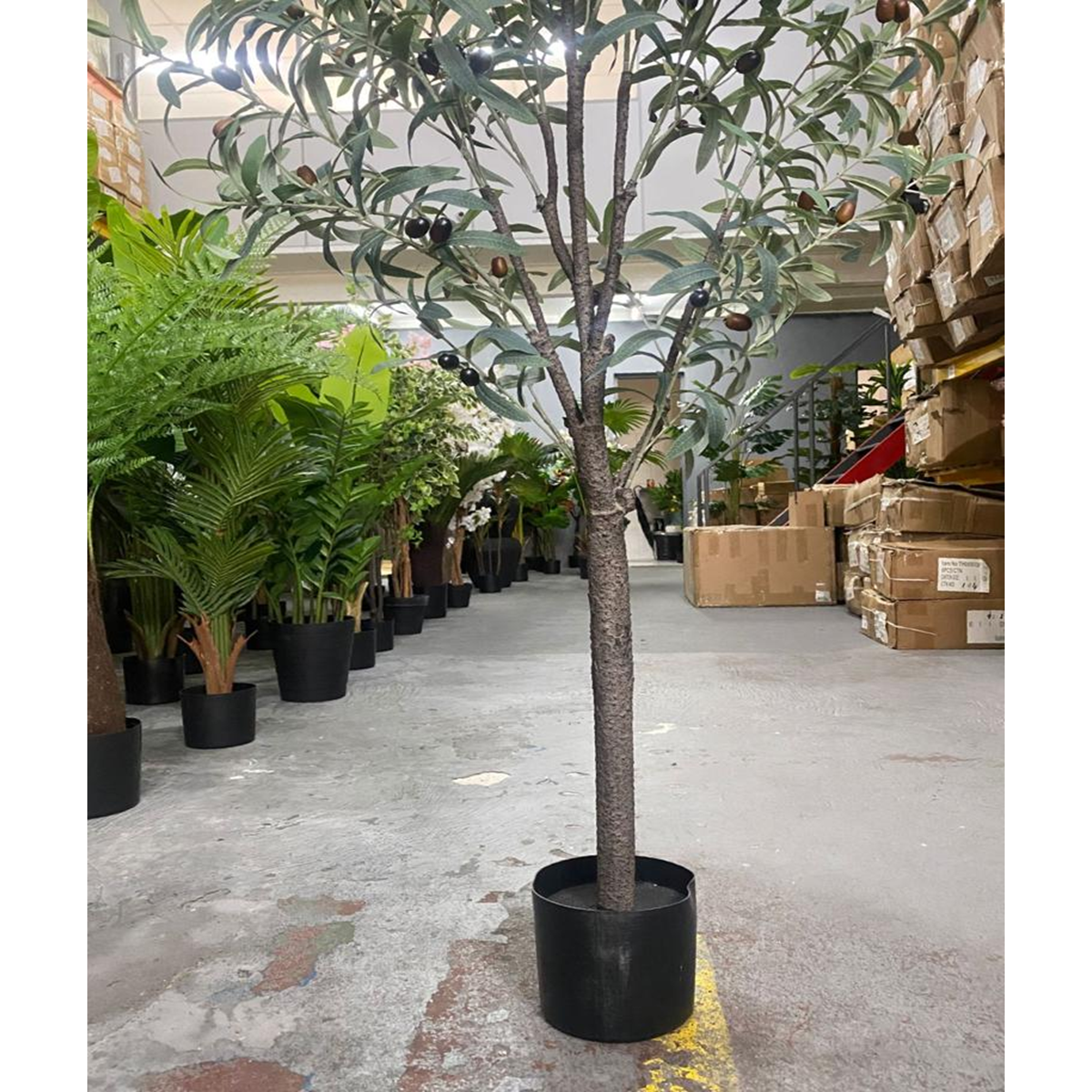 Oliveira Planta Artificial Árvore Decoração com 1.50cm - 3