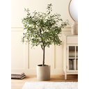 Ver imagem 3 de Oliveira Planta Artificial Árvore Decoração com 1.50cm
