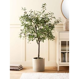 Oliveira Planta Artificial Árvore Decoração com 1.50cm - 11