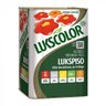 Tinta Acrílica para Pisos Premium Lukspiso 18l Cores - Lukscolor - Preto - 1