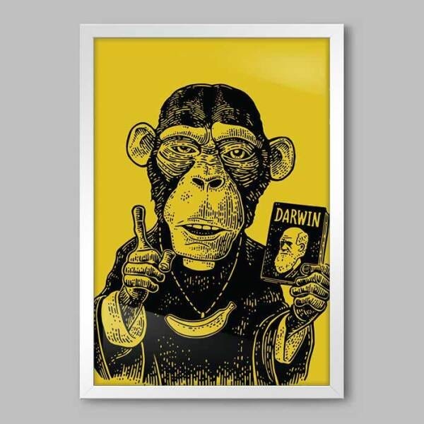 Quadro Animal Teoria da Evolução - 60x40cm - Moldura Padrão Branco - 1