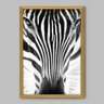 Quadro Animal Zebra - 20x30cm - Moldura Caixa Madeira - 1