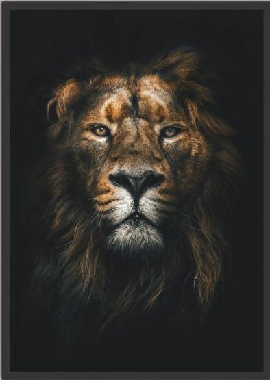 Quadro Decorativo Lion - 1
