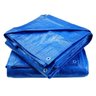 Lona de Polietileno 2m X 2m com Ilhoses Metálicos - 4