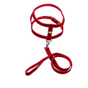 Coleira Peitoral de Camurça 25mm com Aplique Vermelho