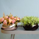 Ver imagem 5 de Arranjo de Mini Rosas no Vaso Baixo Rose | Linha Arranjos de Flores Formosinha