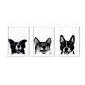 Kit 3 Quadros Dog Border Collie Boston Corgi 40x60 Branco - 2