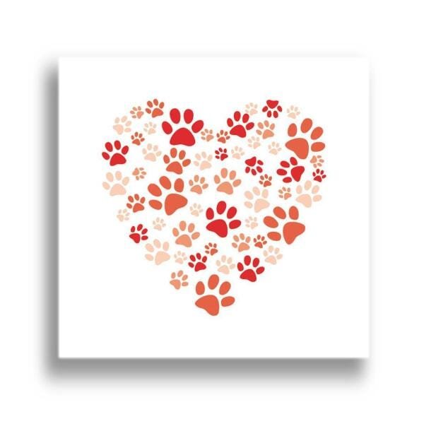 Quadro Cachorro Patas Em Coração 60X60Cm Borda Infinita B092 - 3