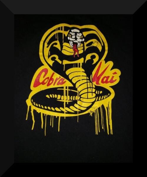 Quadros Série Cobra Kai 2 Und. 25X30Cm Com Vidro Sa11 - 1