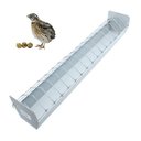 Ver imagem 1 de Comedouro Para Codornas Aves Pintinhos 50Cm E Raçao Quirela