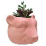 Vaso De Parede Cachepot Urso Rosa Cerâmica - 1