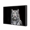 Ver imagem 1 de Quadro Tigre Siberiano Canvas 90X60Cm Slim Preta B032