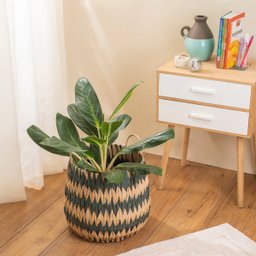 Cesto Organizador 31cm com Alças Tramado de Corda Zig Zag - Oikos - 6