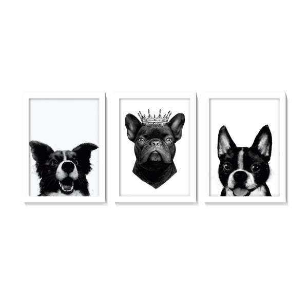 Kit 3 Quadros Cachorros Border Buldogue Boston 40x60 Branco - 2