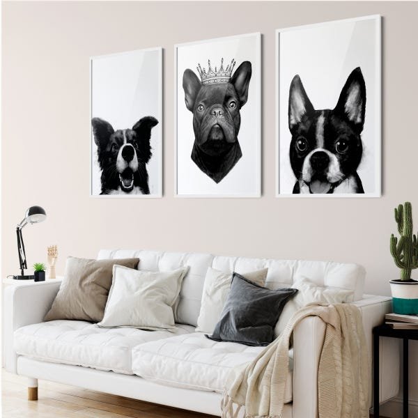 Kit 3 Quadros Cachorros Border Buldogue Boston 40x60 Branco - 1