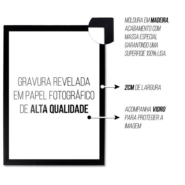 Kit 3 Quadros Cachorros Border Buldogue Boston 40x60 Branco - 3