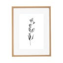 Ver imagem 5 de Kit Quadros Decorativos Botânicos com Moldura em Mdf e Vidro