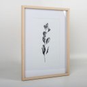 Ver imagem 3 de Kit Quadros Decorativos Botânicos com Moldura em Mdf e Vidro