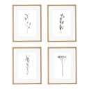 Ver imagem 1 de Kit Quadros Decorativos Botânicos com Moldura em Mdf e Vidro