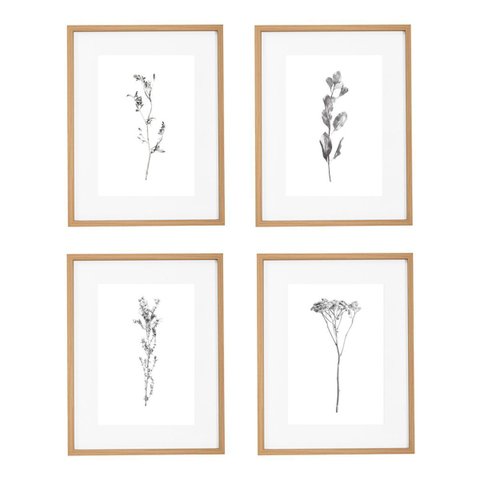 Kit Quadros Decorativos Botânicos com Moldura em Mdf e Vidro