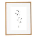 Ver imagem 2 de Kit Quadros Decorativos Botânicos com Moldura em Mdf e Vidro
