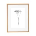 Ver imagem 6 de Kit Quadros Decorativos Botânicos com Moldura em Mdf e Vidro