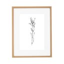 Ver imagem 4 de Kit Quadros Decorativos Botânicos com Moldura em Mdf e Vidro