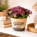 Ver imagem 2 de Arranjo Planta Jardim Artificial Decoração Centro Mesa 15cm