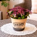 Ver imagem 3 de Arranjo Planta Jardim Artificial Decoração Centro Mesa 15cm