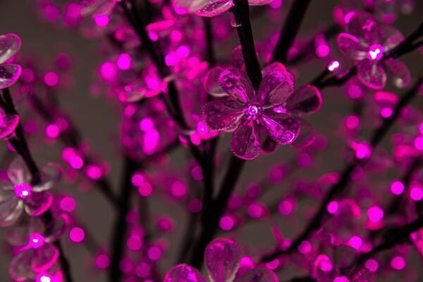 Arvore Cerejeira Natal Luxo 2,20M 592 Leds Bivolt Rosa - 2