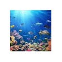 Ver imagem 2 de Papel De Parede 3d Oceano Peixes - Papel De Parede Paisagem 1X1