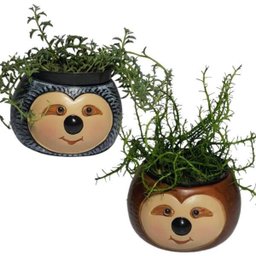 VASO CACHEPÔ BICHO PREGUIÇA PORTA CACTO E FLORES 2 UNIDADE - 2