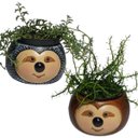 Ver imagem 2 de VASO CACHEPÔ BICHO PREGUIÇA PORTA CACTO E FLORES 2 UNIDADE
