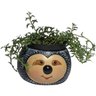 VASO CACHEPÔ BICHO PREGUIÇA PORTA CACTO E FLORES 2 UNIDADE - 4