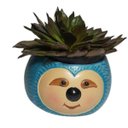 Ver imagem 5 de VASO CACHEPÔ BICHO PREGUIÇA PORTA CACTO E FLORES 2 UNIDADE