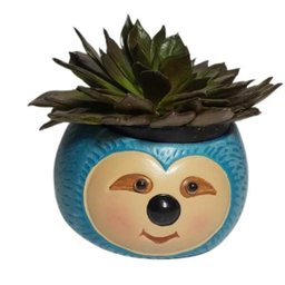 VASO CACHEPÔ BICHO PREGUIÇA PORTA CACTO E FLORES 2 UNIDADE - 5