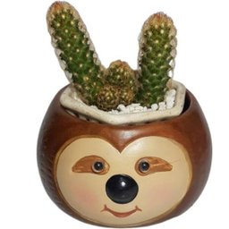 VASO CACHEPÔ BICHO PREGUIÇA PORTA CACTO E FLORES 2 UNIDADE - 3