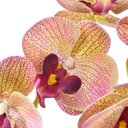 Ver imagem 2 de Arranjo de Orquídea Outonada em Vaso Preto Fosco Rafa